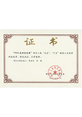 2005年1月PCAS灰砂活化劑獲“九五、十五”科技成果獎